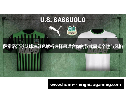 萨索洛足球队球衣颜色解析选择最适合你的款式展现个性与风格