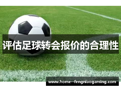 评估足球转会报价的合理性