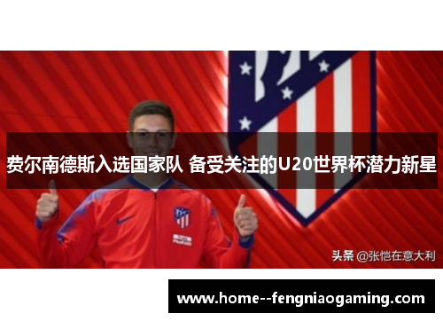 费尔南德斯入选国家队 备受关注的U20世界杯潜力新星