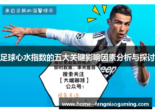 足球心水指数的五大关键影响因素分析与探讨