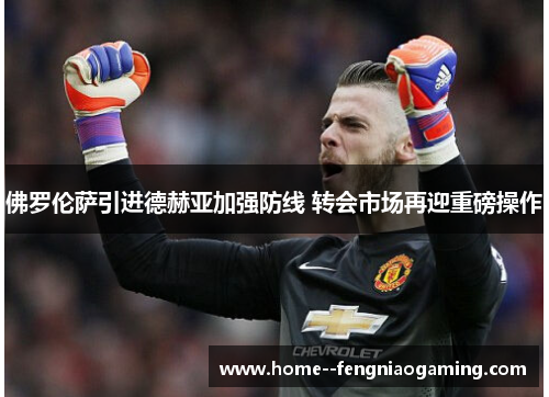 佛罗伦萨引进德赫亚加强防线 转会市场再迎重磅操作