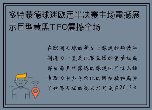 多特蒙德球迷欧冠半决赛主场震撼展示巨型黄黑TIFO震撼全场