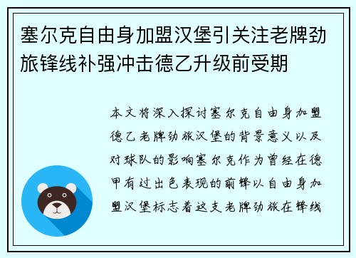 塞尔克自由身加盟汉堡引关注老牌劲旅锋线补强冲击德乙升级前受期
